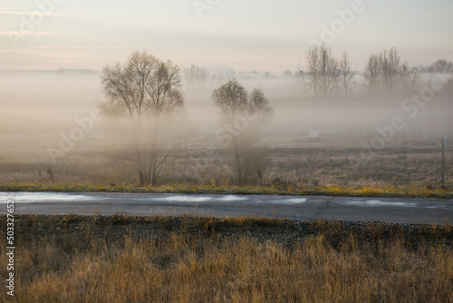 fog on the road along the field at dawn. fog in the autumn field along the highway