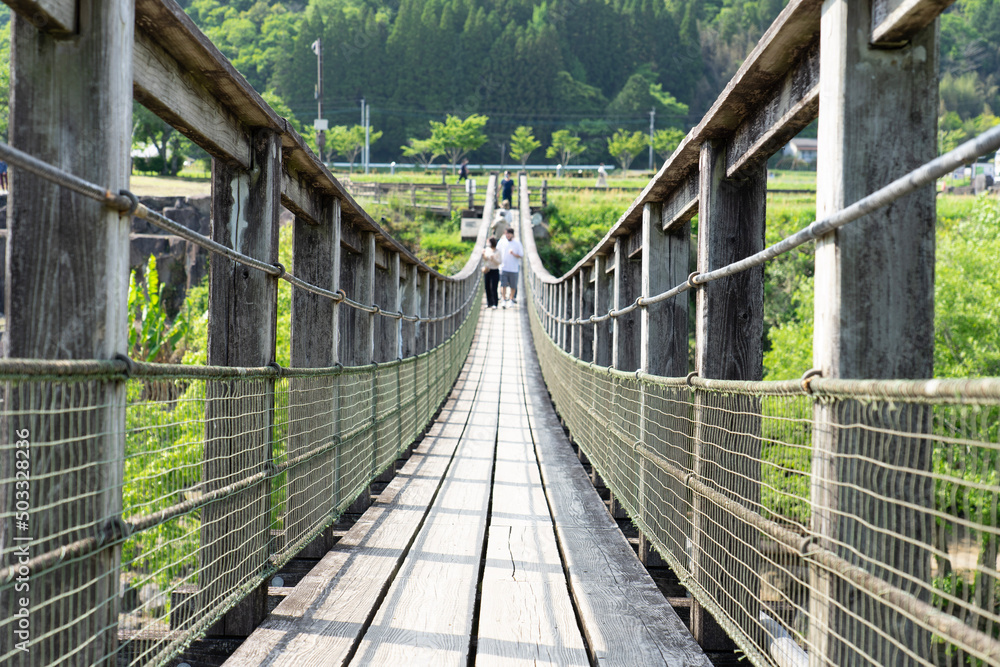 suspension bridge in the forest