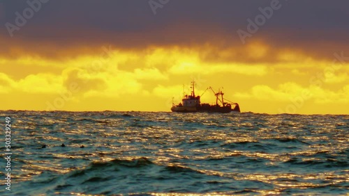Fishing ship floating on waves against yellow sunset. Vessel sailing at sea. Silhouette of shoalbuster swinging on water. Picturesque seascape with swimming tugboat, flying birds, shining sky photo