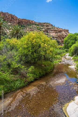 Queen Creek is still running in the Arizona desert