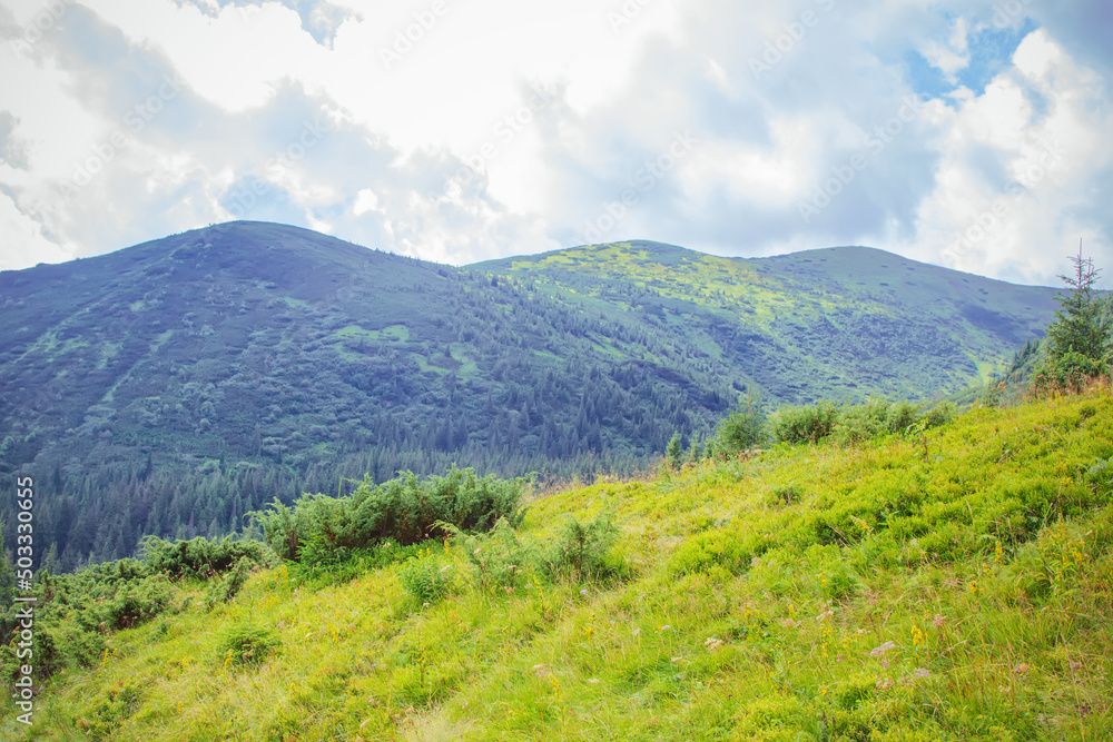 Mountain view. The road to the lake Nesamovyte. Mountain view. The road to the lake Nesamovyte.