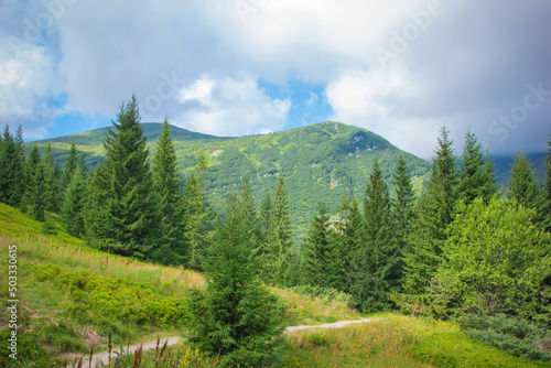 The road to Nesamovyte lake. Mountain view
