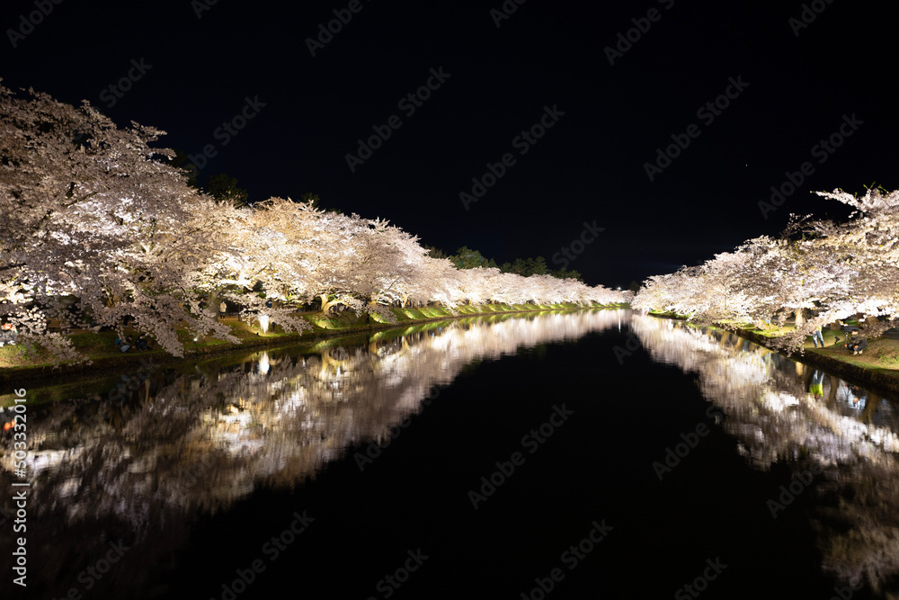 Naklejka premium crocodile in the water