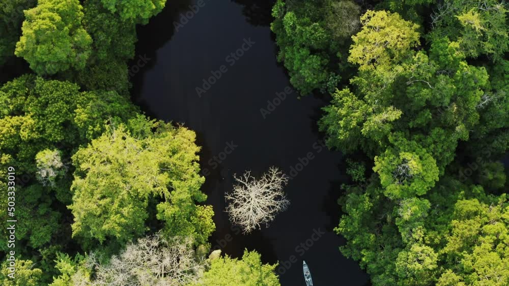 Forest Boat Trees River Green Plants Amazon Rain Forest Amazonia Brazil Aerial Drone Shot Forest Boat Trees River Green Plants Amazon Rain Forest Amazonia Brazil Aerial Drone Shot