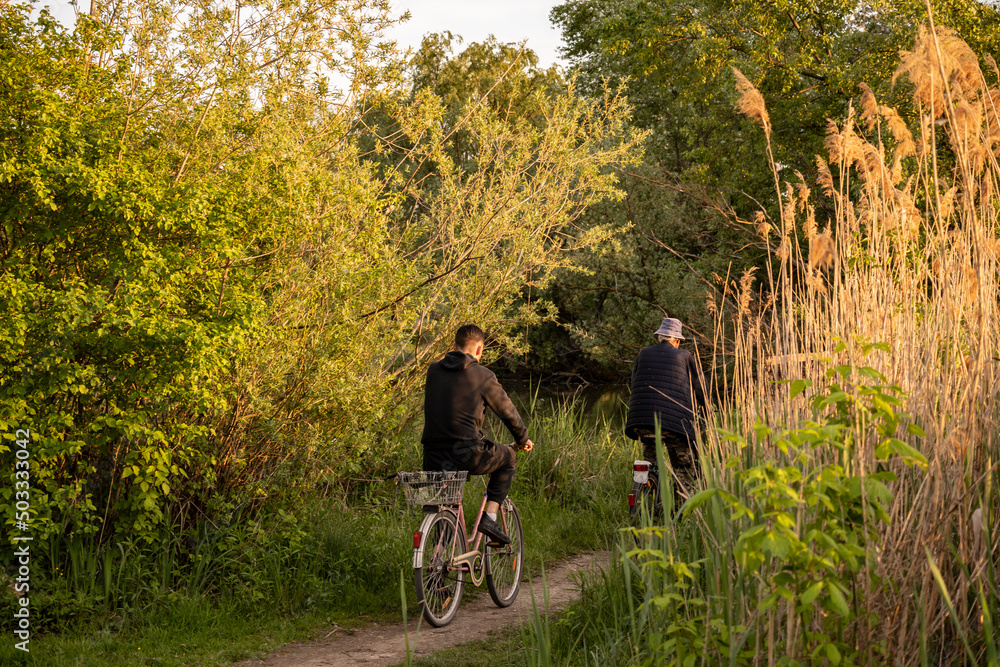 Fishermen cycling through the swamp dirt road of Savica lakes, returning home at sunset
