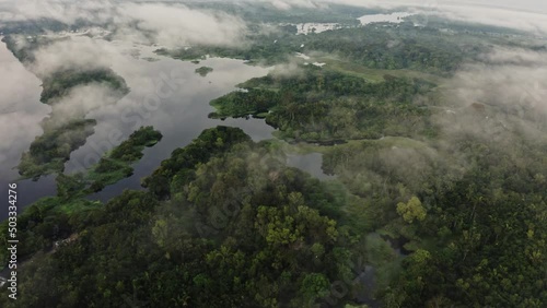 Forest Fog Jungle Sunrise Clouds Trees River Sun Green Plants Amazon Rain Forest Amazonia Brazil Aerial Drone Shot