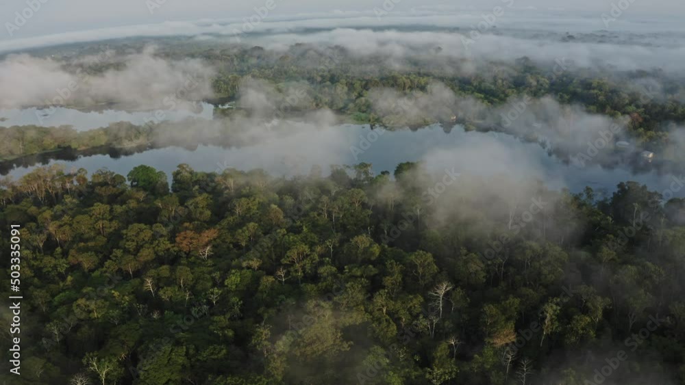 Forest Fog Jungle Sunrise Clouds Trees River Sun Green Plants Amazon Rain Forest Amazonia Brazil Aerial Drone Shot Forest Fog Jungle Sunrise Clouds Trees River Sun Green Plants Amazon Rain Forest Amazonia Brazil Aerial Drone Shot