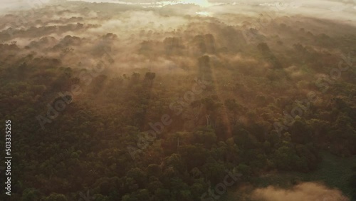 Forest Fog Jungle Sunrise Clouds Trees River Sun Green Plants Amazon Rain Forest Amazonia Brazil Aerial Drone Shot
