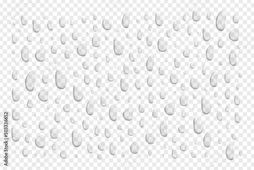 Canvas Vector realistic isolated water droplets on the transparent background
