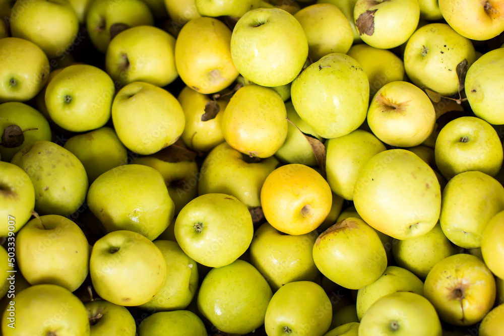 Green apples on sale at the local market. Apples background Green apples on sale at the local market. Apples background