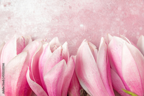 Pink magnolia flowers composition on pink background. Wedding or mothers day background © samael334