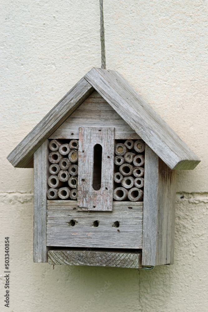 Bug hotel with bamboo canes