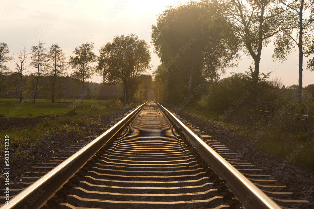 Fototapeta premium Schiene der Meppen-Haselünner Eisenbahn im Emsland/ Germany