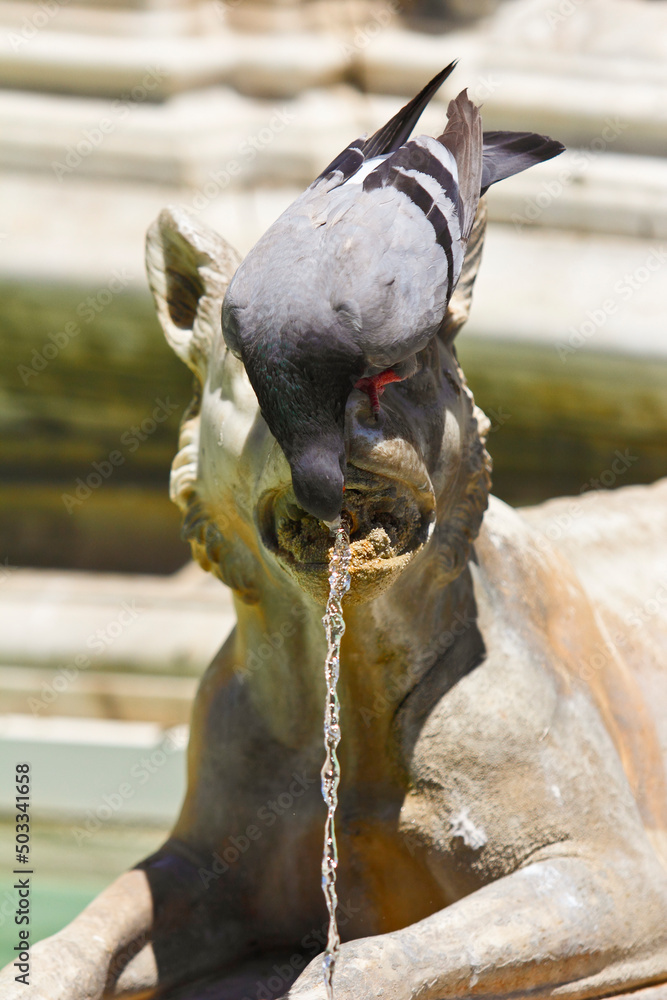 Obraz premium Siena,fontana monumentale di Siena in piazza del Campo