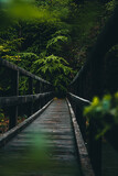 Alte Brücke nach dem Regen mit blühenden Bäumen im Hintergrund