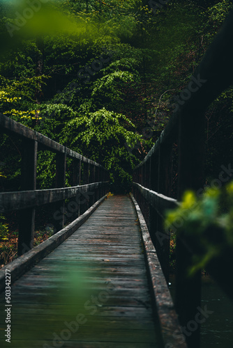 Alte Brücke nach dem Regen mit blühenden Bäumen im Hintergrund