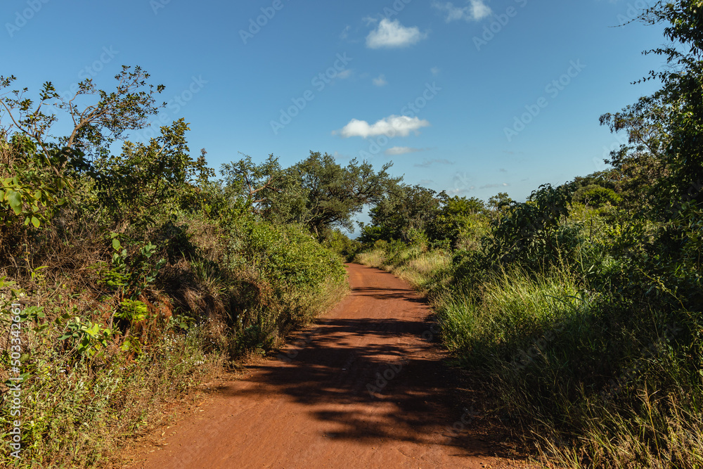 Fototapeta premium Natural landscape in Serra do Rola Moça, city of Belo Horizonte, State of Minas Gerais, Brazil