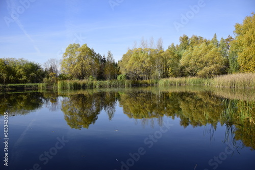 Ulyanovsk Russia, 4 October 2016: Reflections of trees in a calm lake in the autumn arboretum.