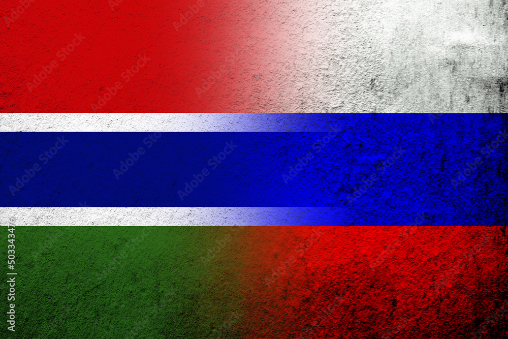 National flag of Russian Federation with The Republic of The Gambia National flag. Grunge background National flag of Russian Federation with The Republic of The Gambia National flag. Grunge background