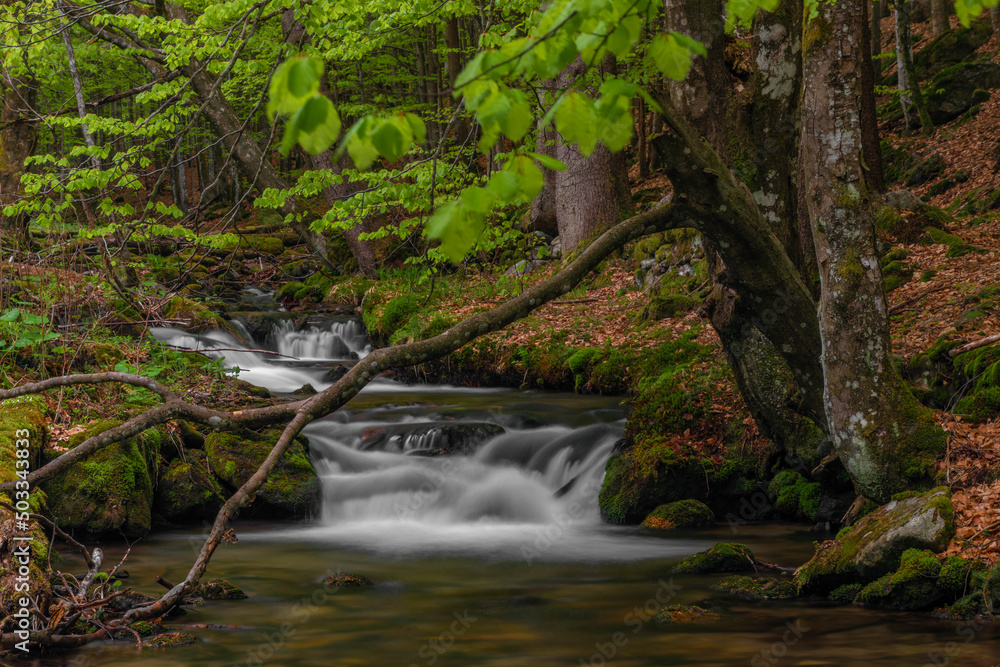 Fototapeta premium Pommerbach creek in spring cloudy evening near Buchenau village