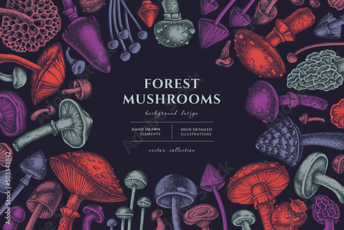 Forest mushrooms hand drawn illustration design. Background with vintage mushrooms, fly agaric, blewit, etc.