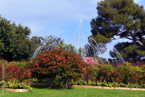 euroflora nervi parks, flower garden genoa italy photo