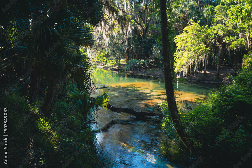 Waterways of gemini springs in DeBary, Florida