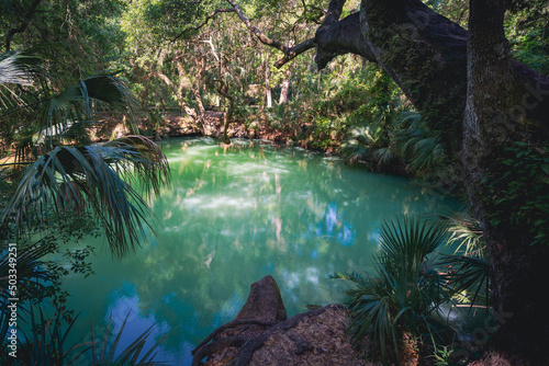 Light green waters of Green Springs in tropical Deltona, Florida photo