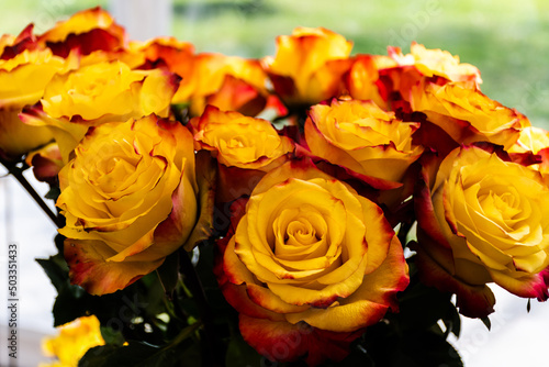 Bouquet of roses in yellow and red colors.
