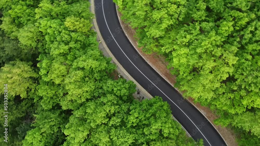 Aerial shot of a winding road passing through a dense green forest Aerial shot of a winding road passing through a dense green forest