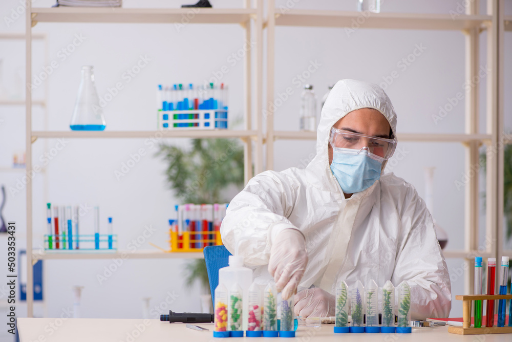 Young male chemist in drugs synthesis concept Young male chemist in drugs synthesis concept