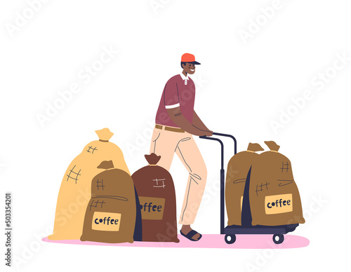 Man coffee farm production worker loading canvas sacks with coffee beans for delivery