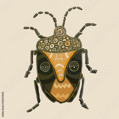 bug insect with patterns