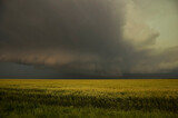 tornado warned storm over the field