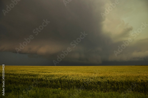 tornado warned storm over the field