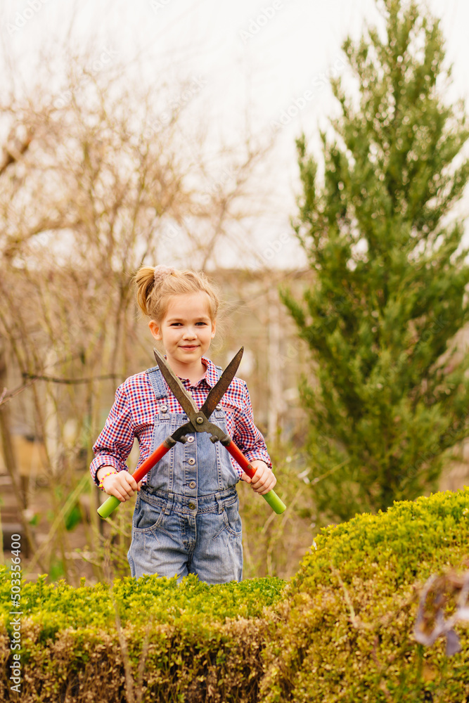 a funny little girl cuts bushes in the garden with large pruner. a funny little girl cuts bushes in the garden with large pruner.