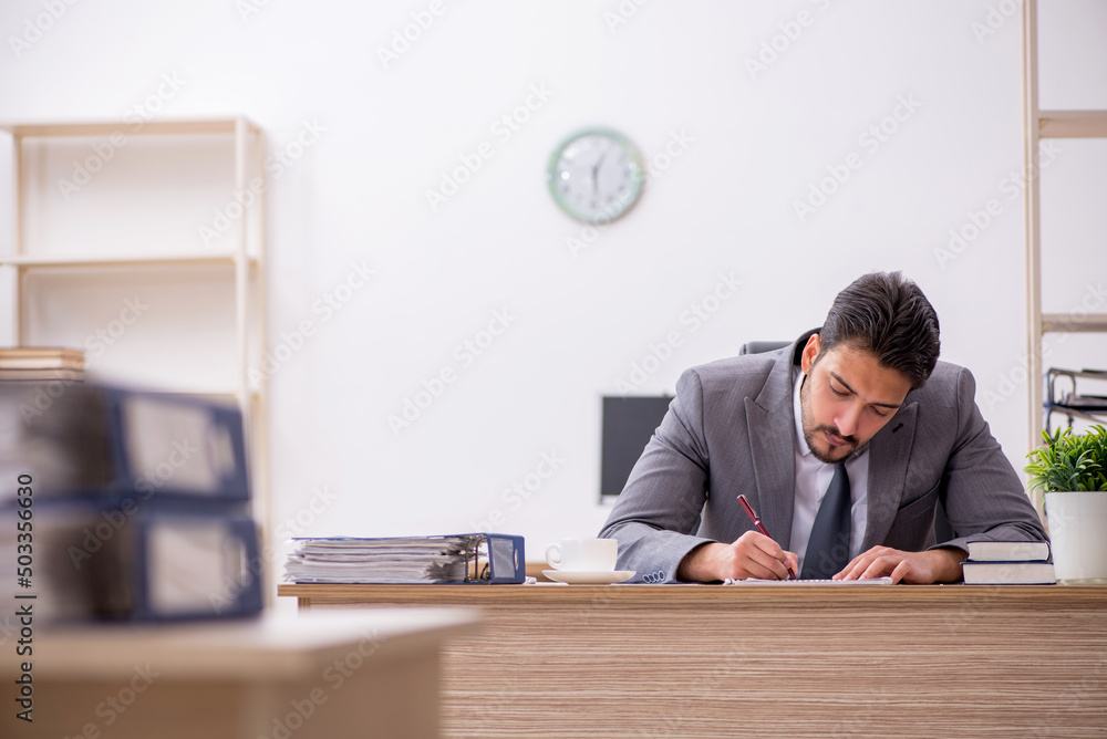 Young male employee working in the office Young male employee working in the office