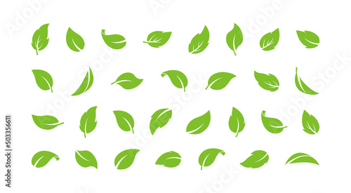 Green leaf vector icon, eco logo, organic label, fresh plant set different shapes isolated on white background. Simple herbal illustration