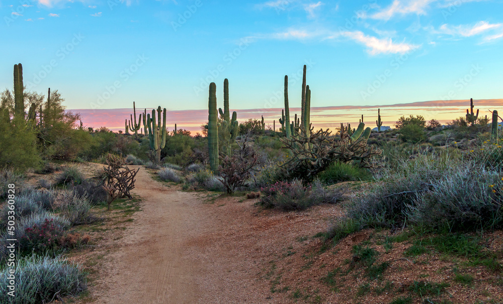 Sunset Time On A Desert Hiking Trail In Scottsdale Arizona