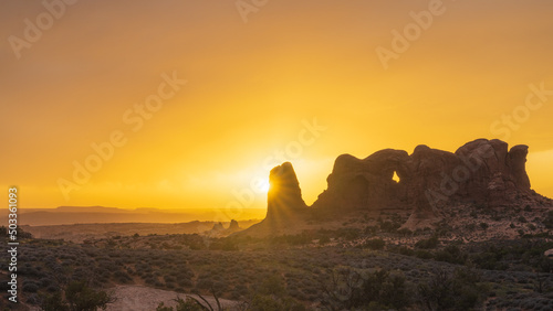 Parade of Elephants Sunset