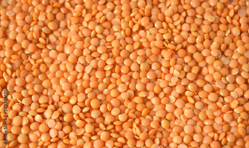 background of red lentils. horizontal texture grains background of red lentils. horizontal texture grains