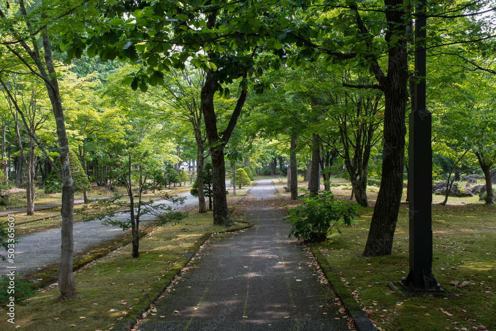 初夏の公園
