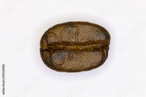 Coffee bean. Delicious drink. Isolated. Brown coffee bean isolated on white background. Coffee bean for making aromatic Arabica, Robusta, Excelsa, and Liberica type coffees. Close-up Macro. Copy space photo