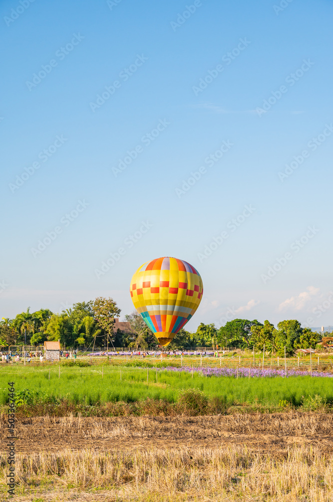Obraz premium Hot air balloon in the flower garden