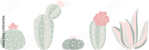 Line of various cartoon cactuses on transparent background