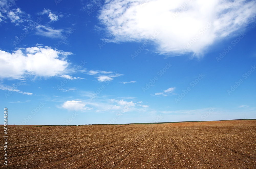 Landscape of agricultural field, alentejo region