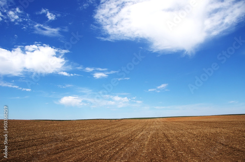 Landscape of agricultural field, alentejo region