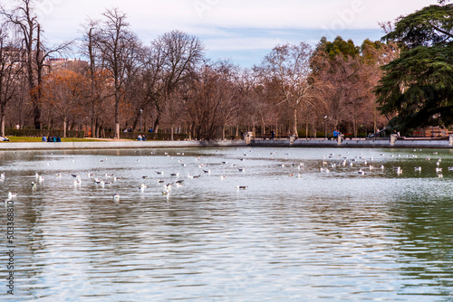 Nature scene and landscape ...