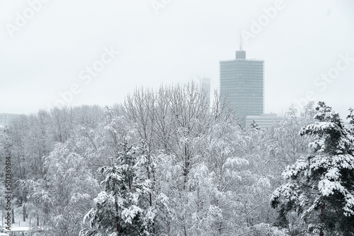 Canvas Print Beautiful winterscape, Kista
