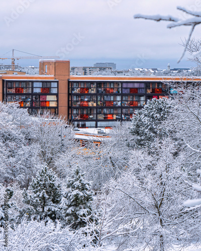 Canvas Print Rinkeby wintercape